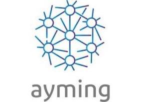 Logo AYMING - Partenaire BRANDON IP