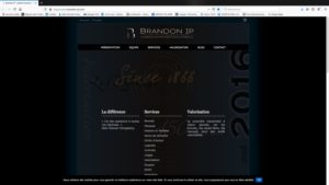 Site Internet Brandon IP