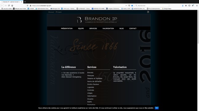 Site Internet Brandon IP